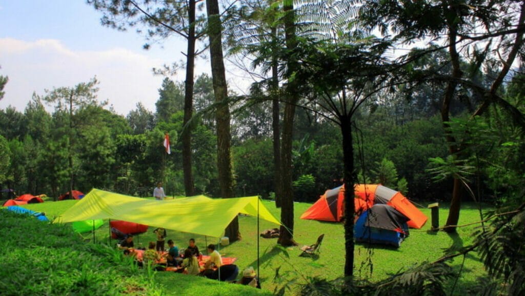 Camping Ground Hutan Pinus Gunung Pancar
