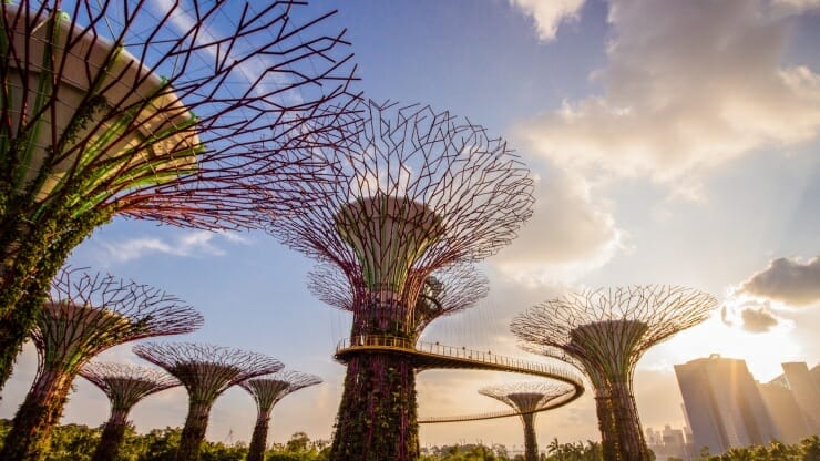 Garden By the bay [visitsingapore]