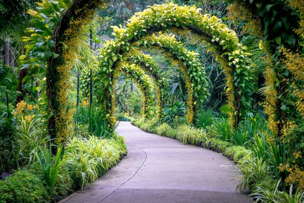 Singapore Botanic Gardens [yogyaku]